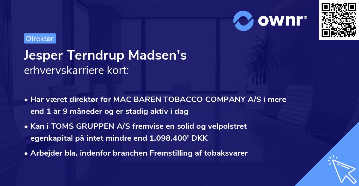 Jesper Terndrup Madsen's erhvervskarriere kort