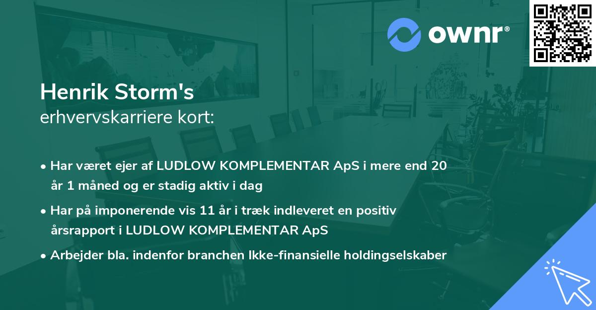 Henrik Storm's erhvervskarriere kort