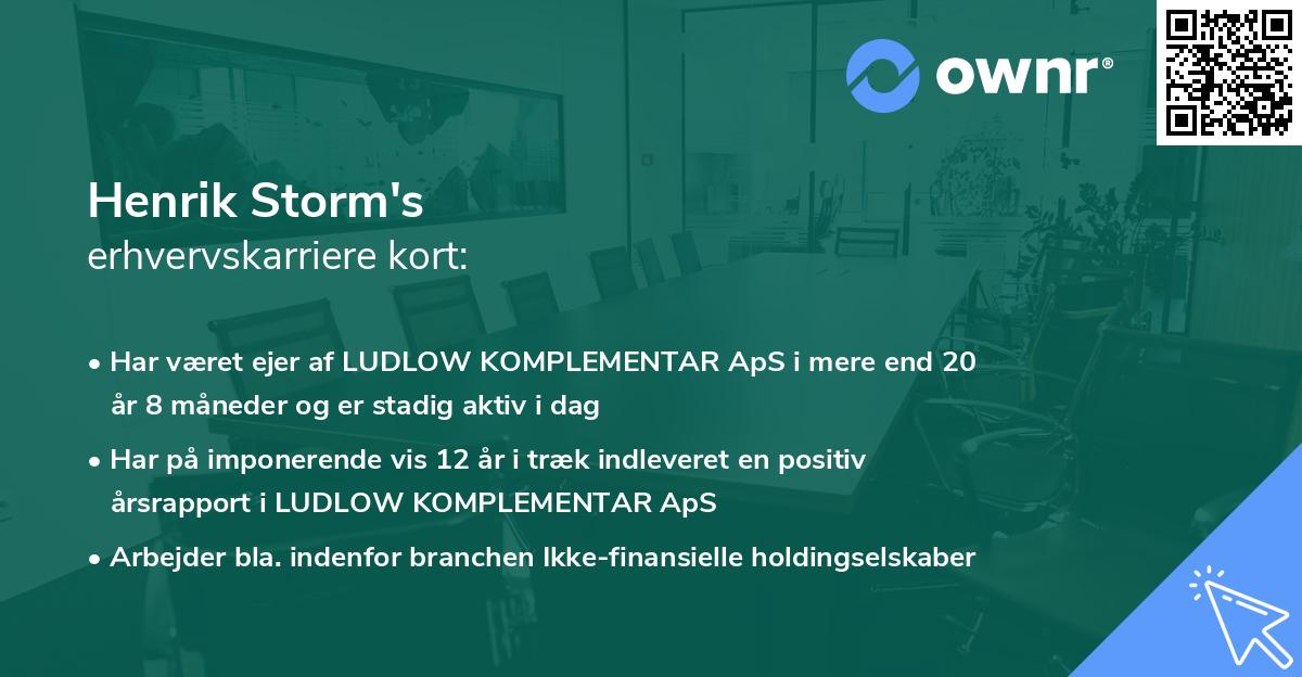 Henrik Storm's erhvervskarriere kort