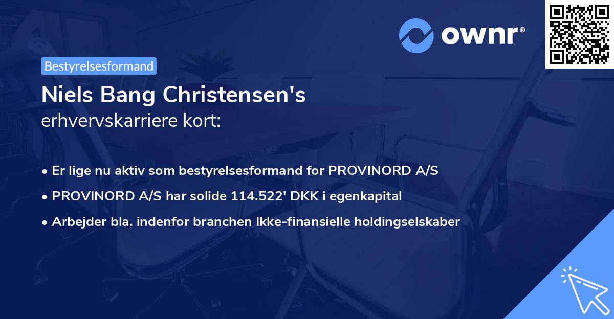 Niels Bang Christensen's erhvervskarriere kort