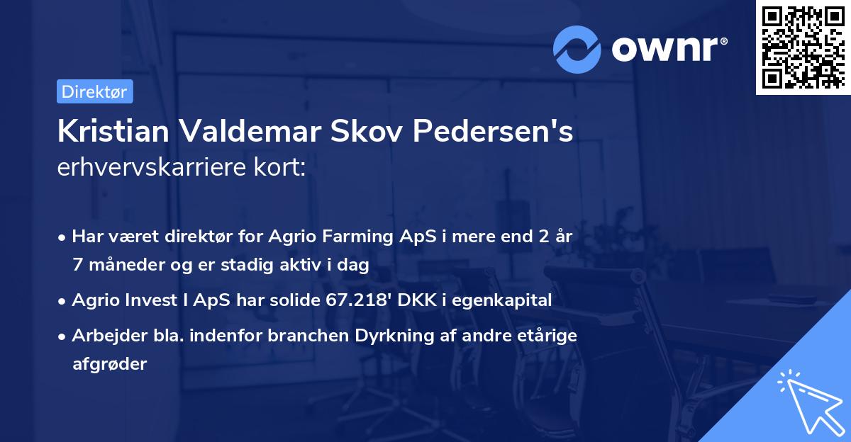 Kristian Valdemar Skov Pedersen's erhvervskarriere kort