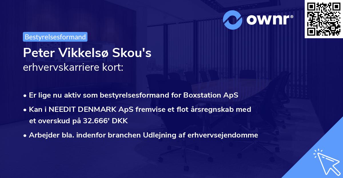 Peter Vikkelsø Skou's erhvervskarriere kort