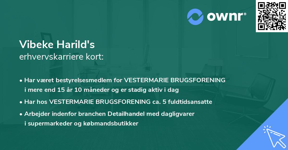 Vibeke Harild's erhvervskarriere kort