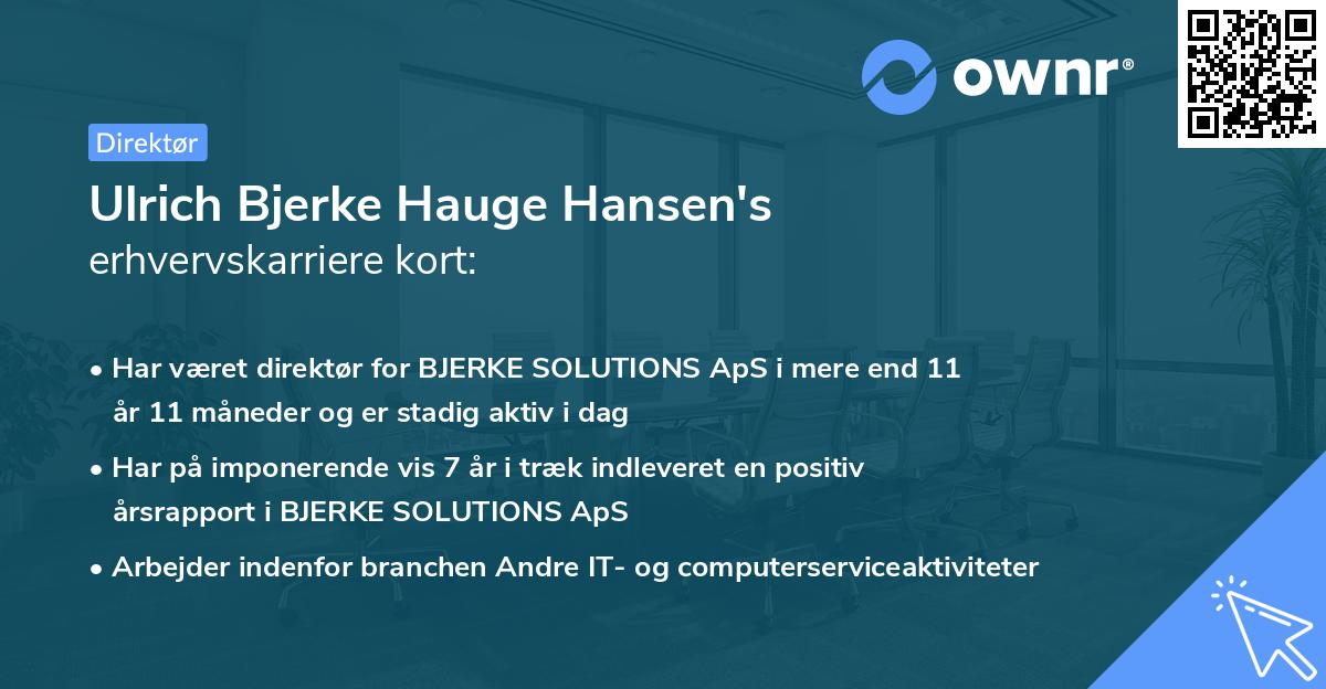 Ulrich Bjerke Hauge Hansen's erhvervskarriere kort