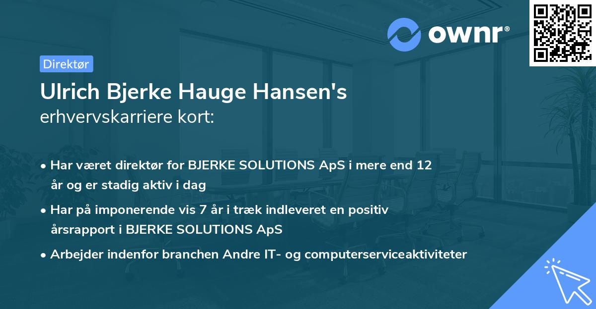 Ulrich Bjerke Hauge Hansen's erhvervskarriere kort