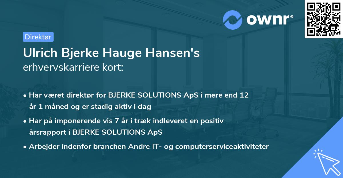 Ulrich Bjerke Hauge Hansen's erhvervskarriere kort
