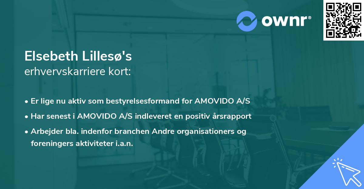 Elsebeth Lillesø's erhvervskarriere kort