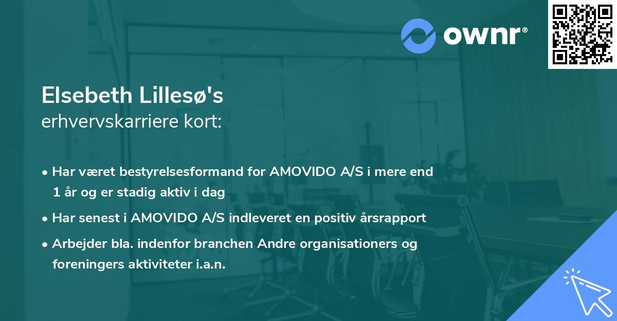 Elsebeth Lillesø's erhvervskarriere kort