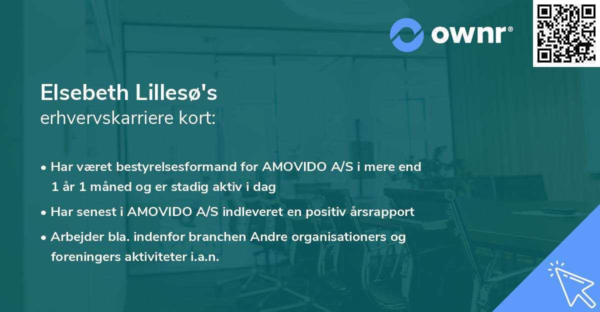 Elsebeth Lillesø's erhvervskarriere kort