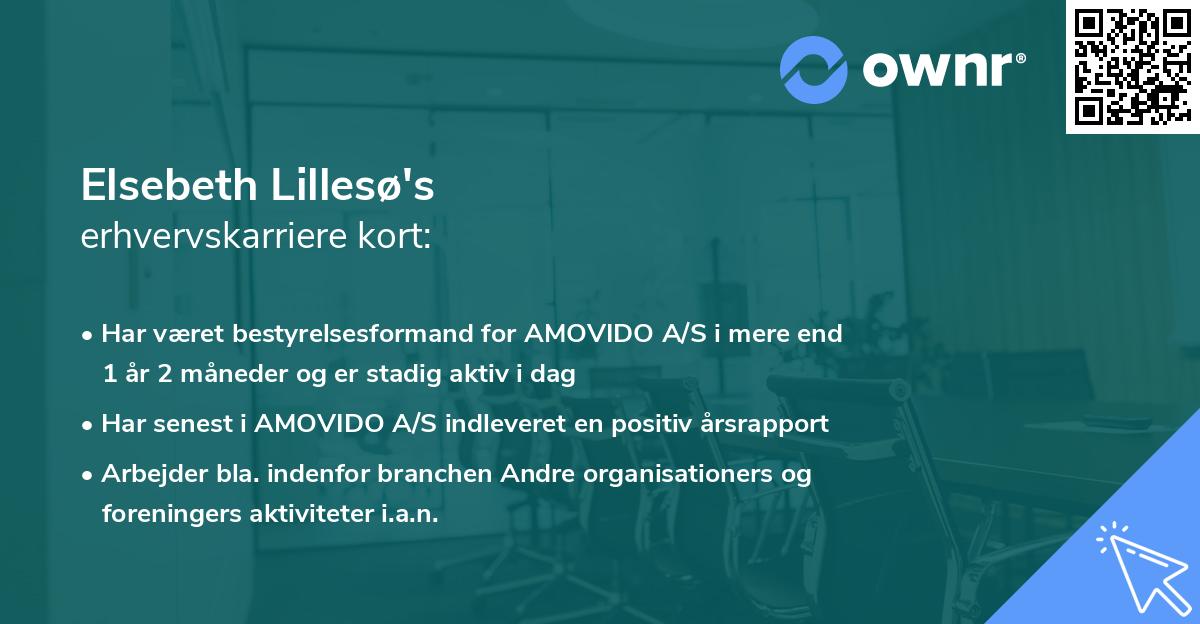 Elsebeth Lillesø's erhvervskarriere kort