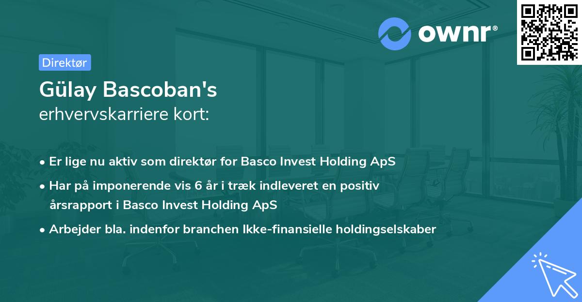 Gülay Bascoban's erhvervskarriere kort