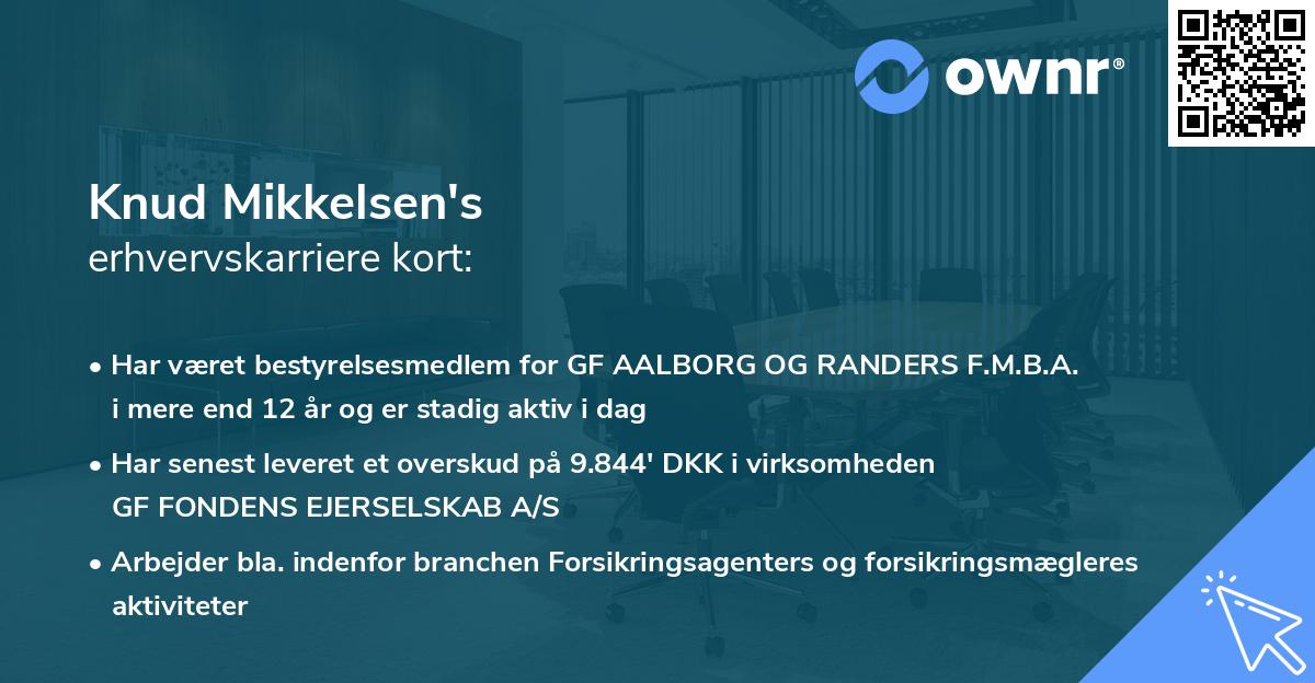 Knud Mikkelsen's erhvervskarriere kort