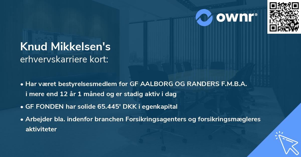 Knud Mikkelsen's erhvervskarriere kort