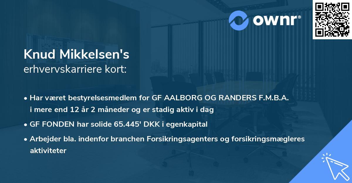 Knud Mikkelsen's erhvervskarriere kort
