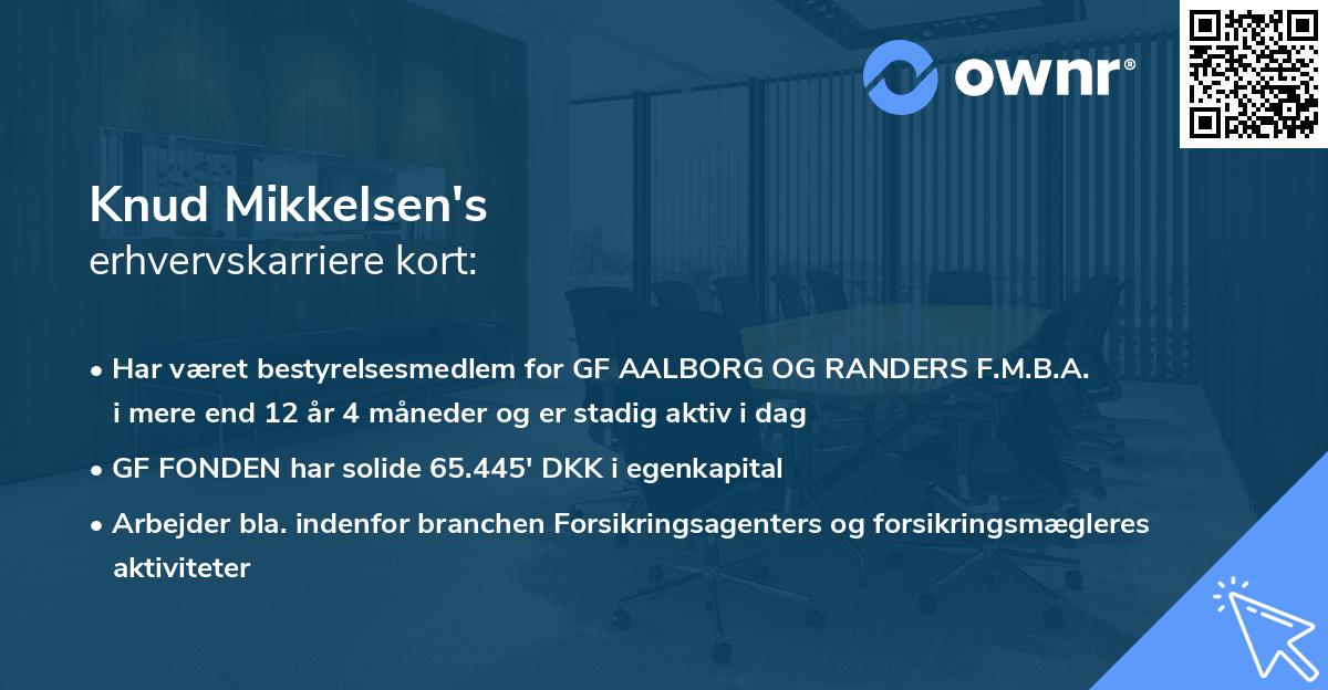 Knud Mikkelsen's erhvervskarriere kort