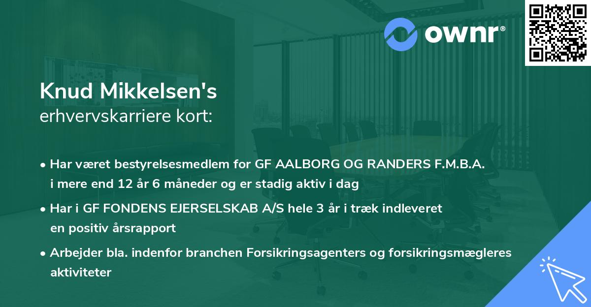 Knud Mikkelsen's erhvervskarriere kort