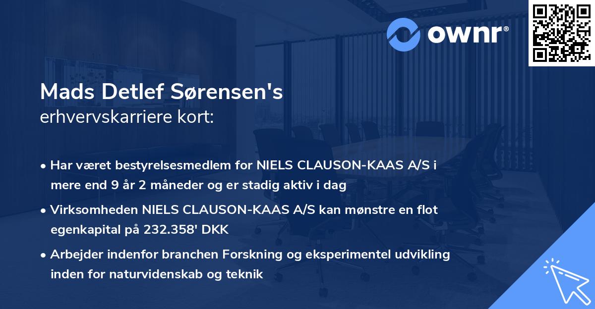 Mads Detlef Sørensen's erhvervskarriere kort