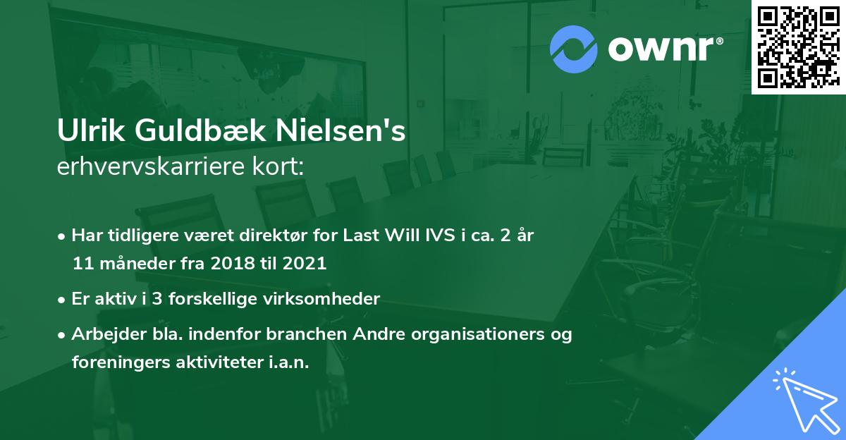 Ulrik Guldbæk Nielsen's erhvervskarriere kort
