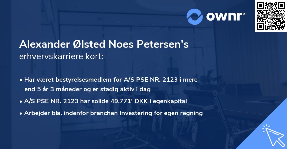 Alexander Ølsted Noes Petersen's erhvervskarriere kort