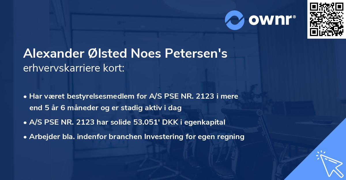 Alexander Ølsted Noes Petersen's erhvervskarriere kort