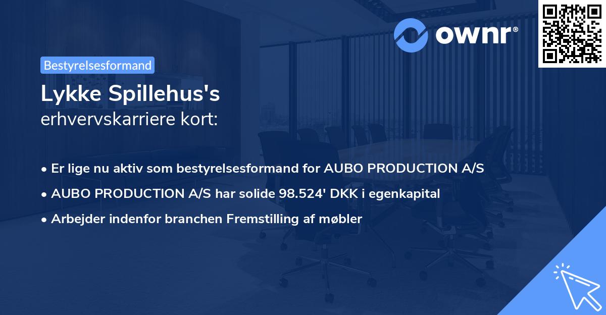 Lykke Spillehus's erhvervskarriere kort