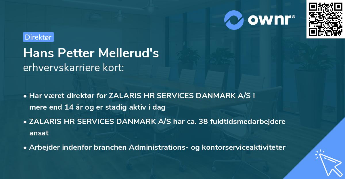 Hans Petter Mellerud's erhvervskarriere kort