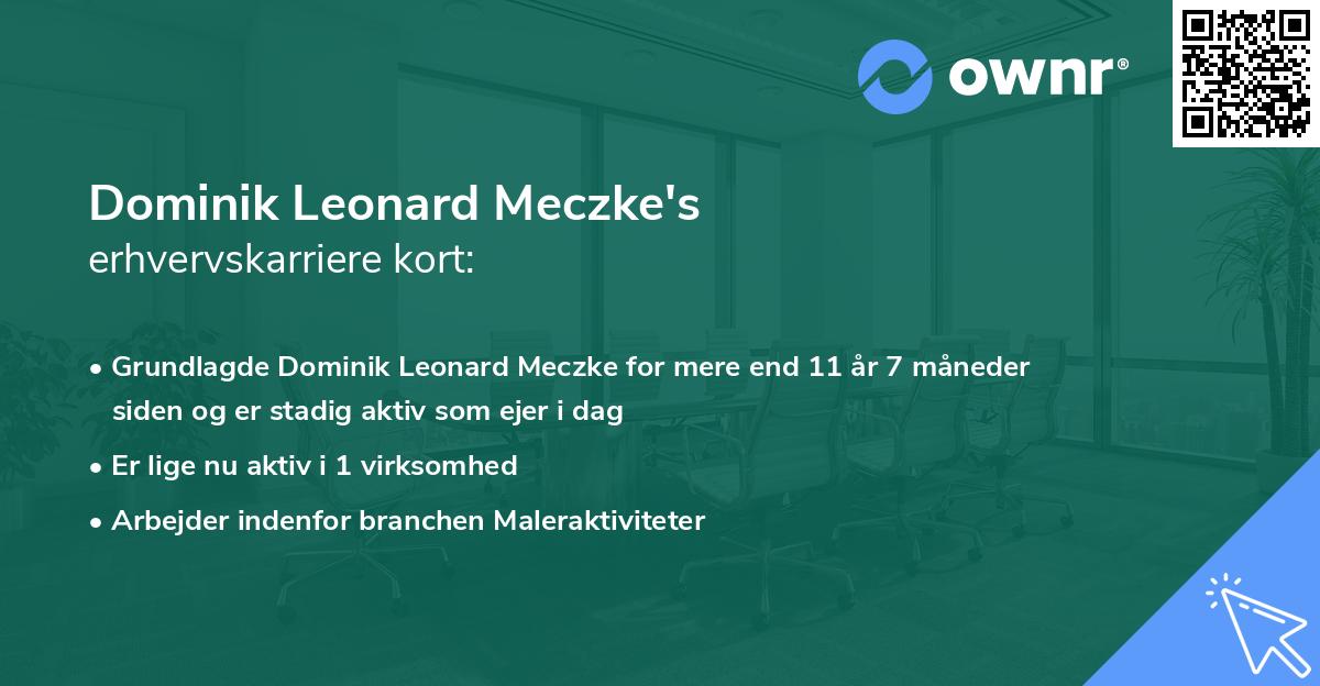 Dominik Leonard Meczke's erhvervskarriere kort