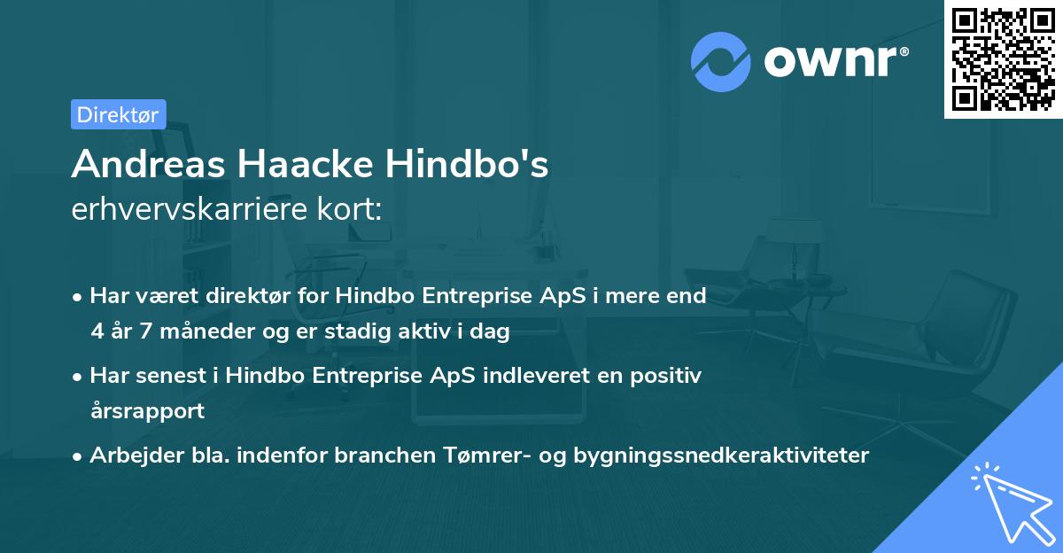Andreas Haacke Hindbo's erhvervskarriere kort