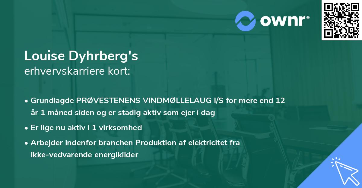 Louise Dyhrberg's erhvervskarriere kort