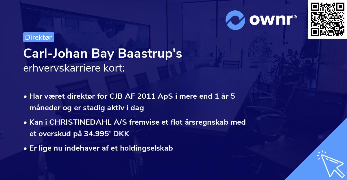 Carl-Johan Bay Baastrup's erhvervskarriere kort