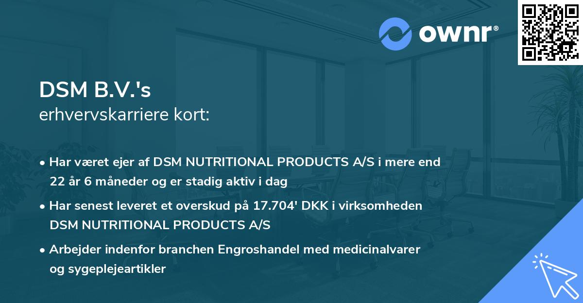 DSM B.V.'s erhvervskarriere kort