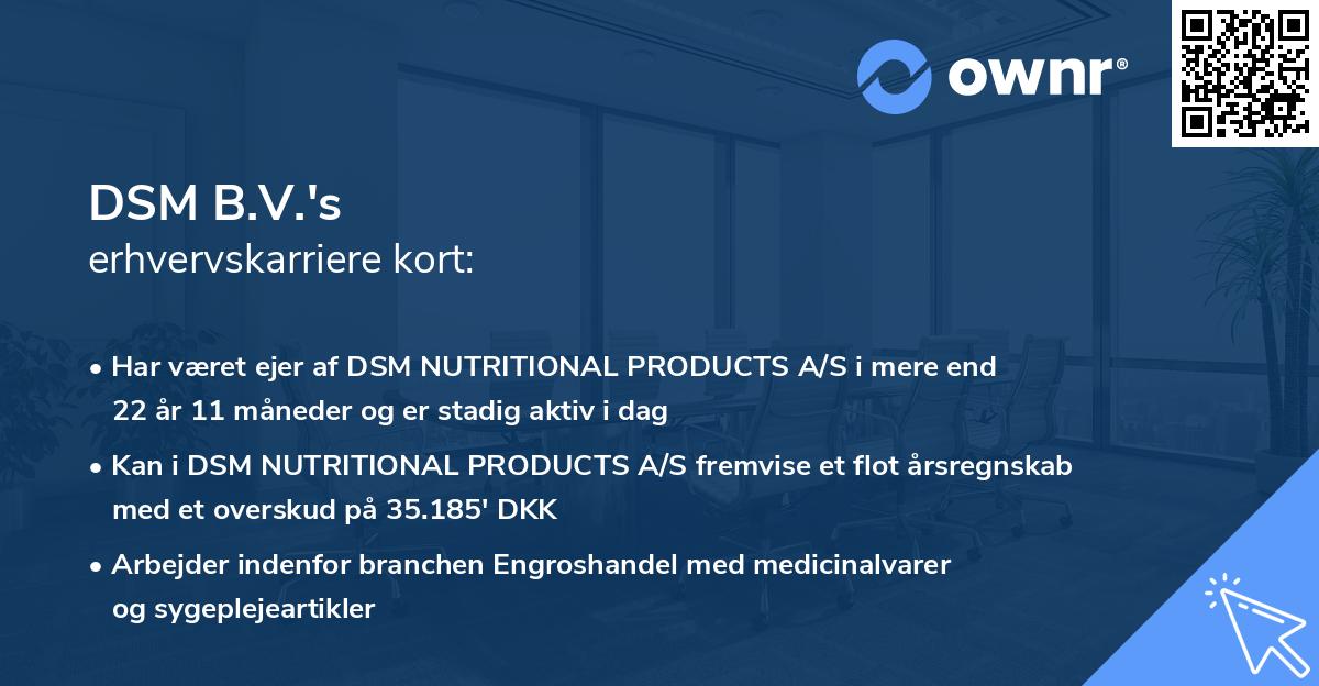 DSM B.V.'s erhvervskarriere kort