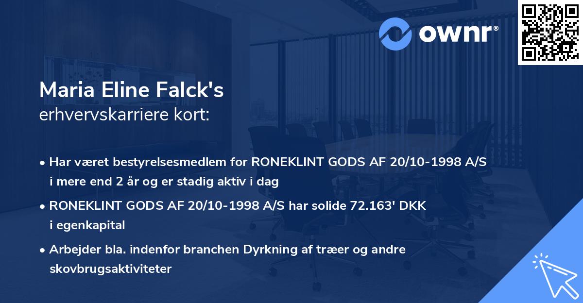 Maria Eline Falck's erhvervskarriere kort