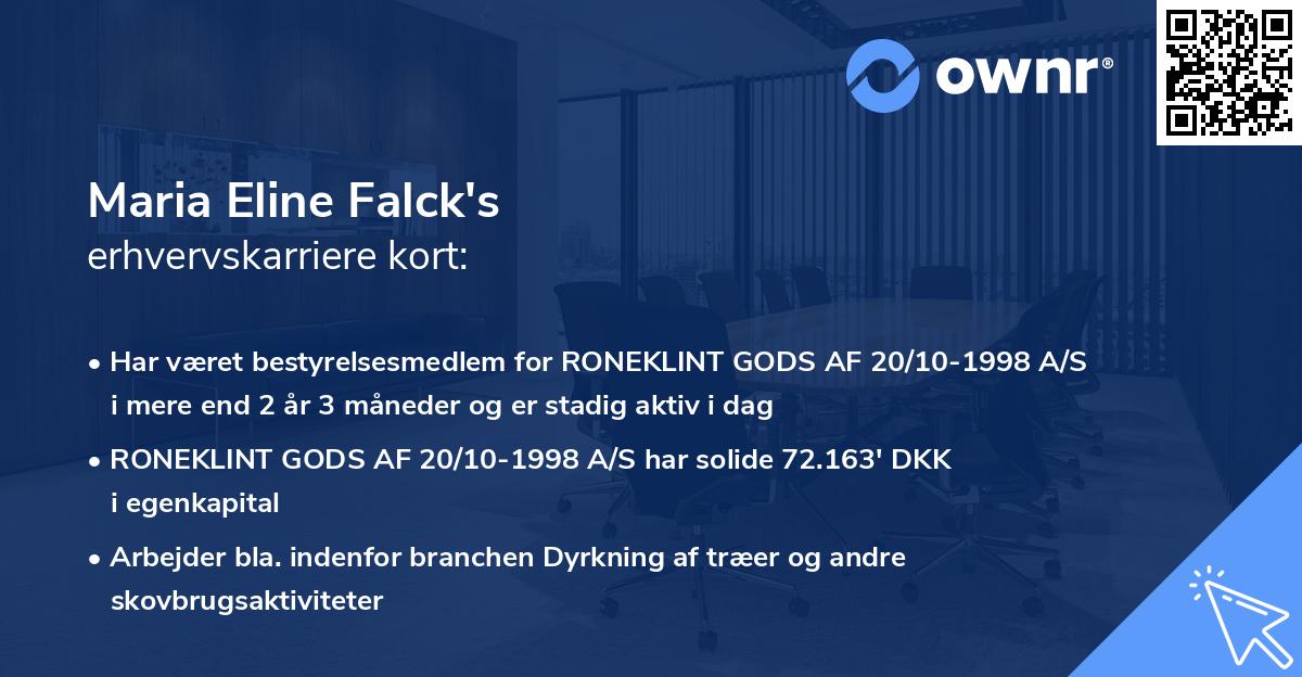 Maria Eline Falck's erhvervskarriere kort