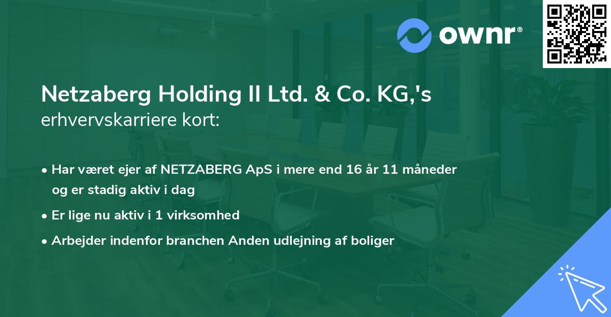 Netzaberg Holding II Ltd. & Co. KG,'s erhvervskarriere kort