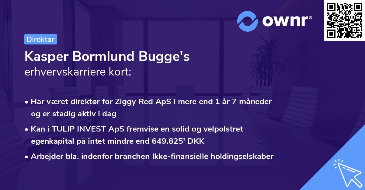 Kasper Bormlund Bugge's erhvervskarriere kort