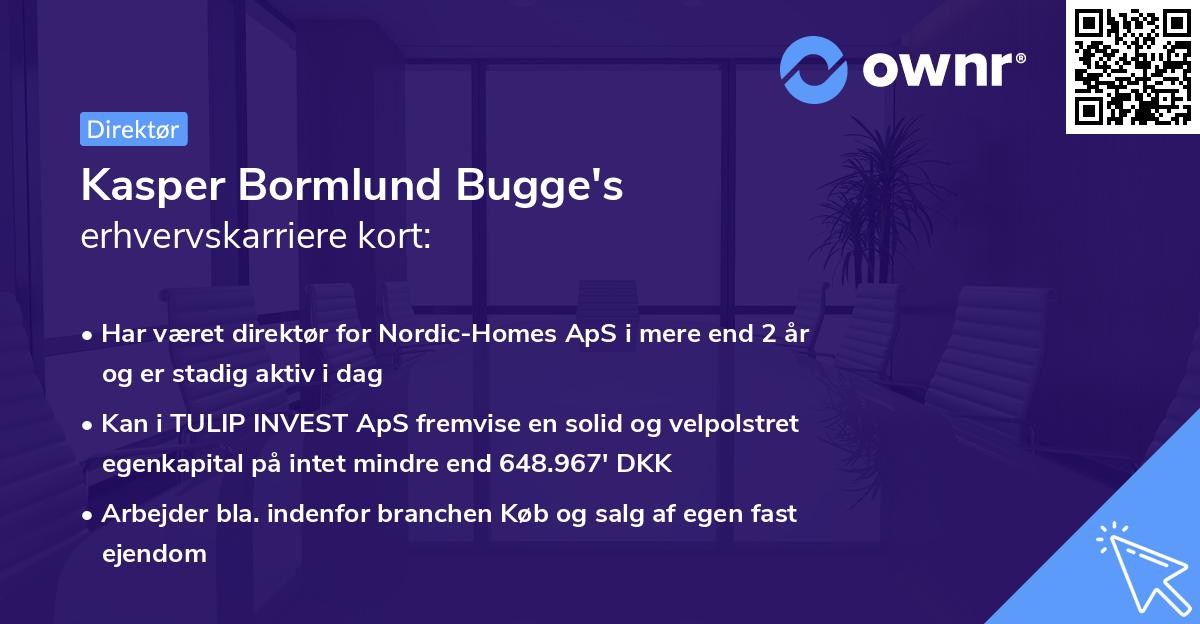 Kasper Bormlund Bugge's erhvervskarriere kort