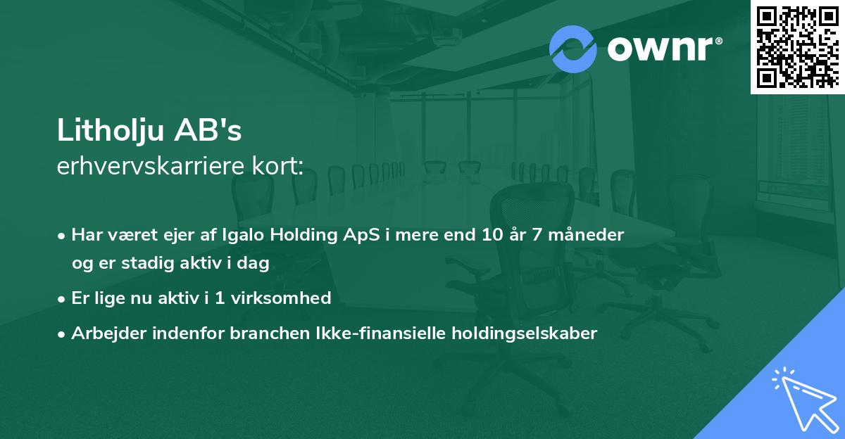 Litholju AB's erhvervskarriere kort