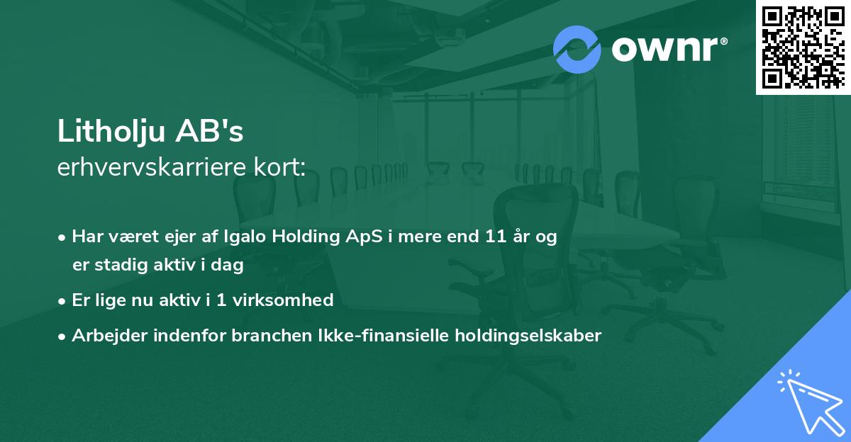 Litholju AB's erhvervskarriere kort