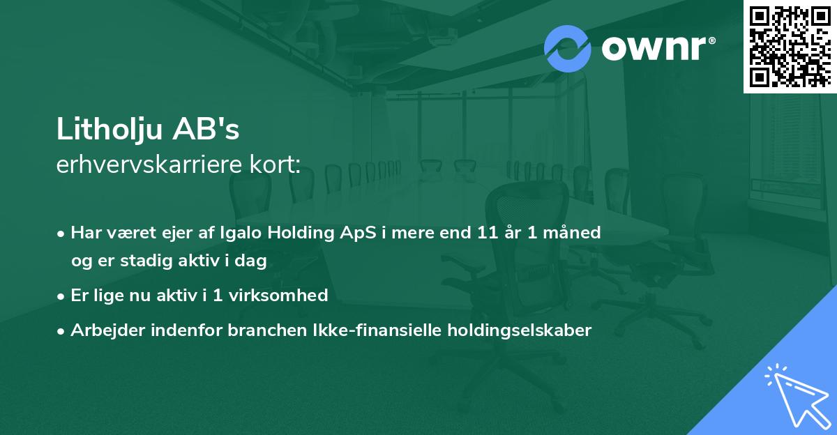 Litholju AB's erhvervskarriere kort