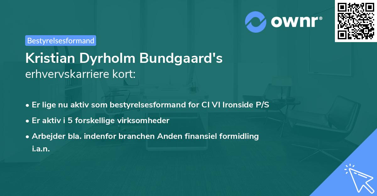 Kristian Dyrholm Bundgaard's erhvervskarriere kort