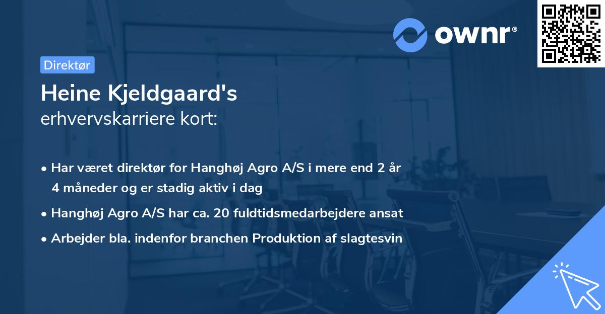 Heine Kjeldgaard's erhvervskarriere kort