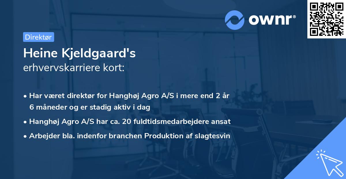 Heine Kjeldgaard's erhvervskarriere kort