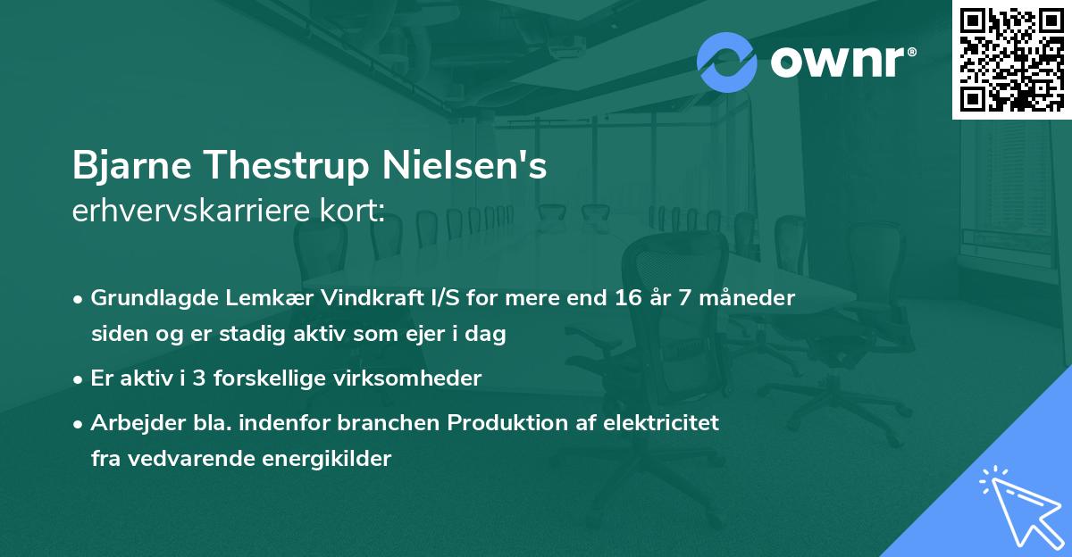 Bjarne Thestrup Nielsen's erhvervskarriere kort