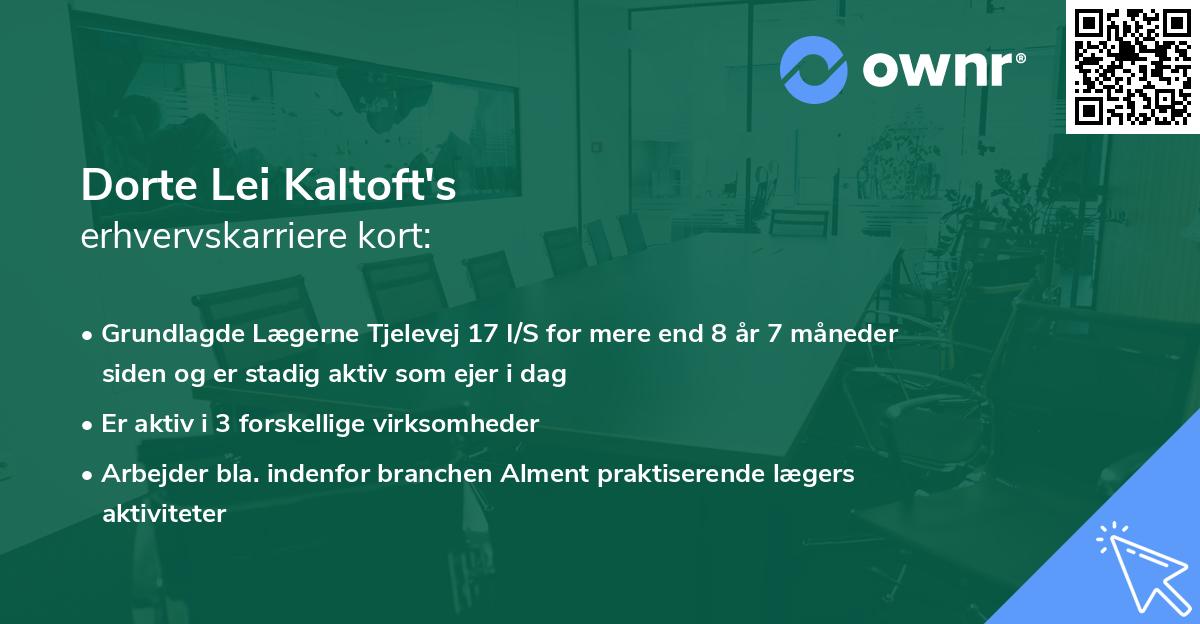 Dorte Lei Kaltoft's erhvervskarriere kort