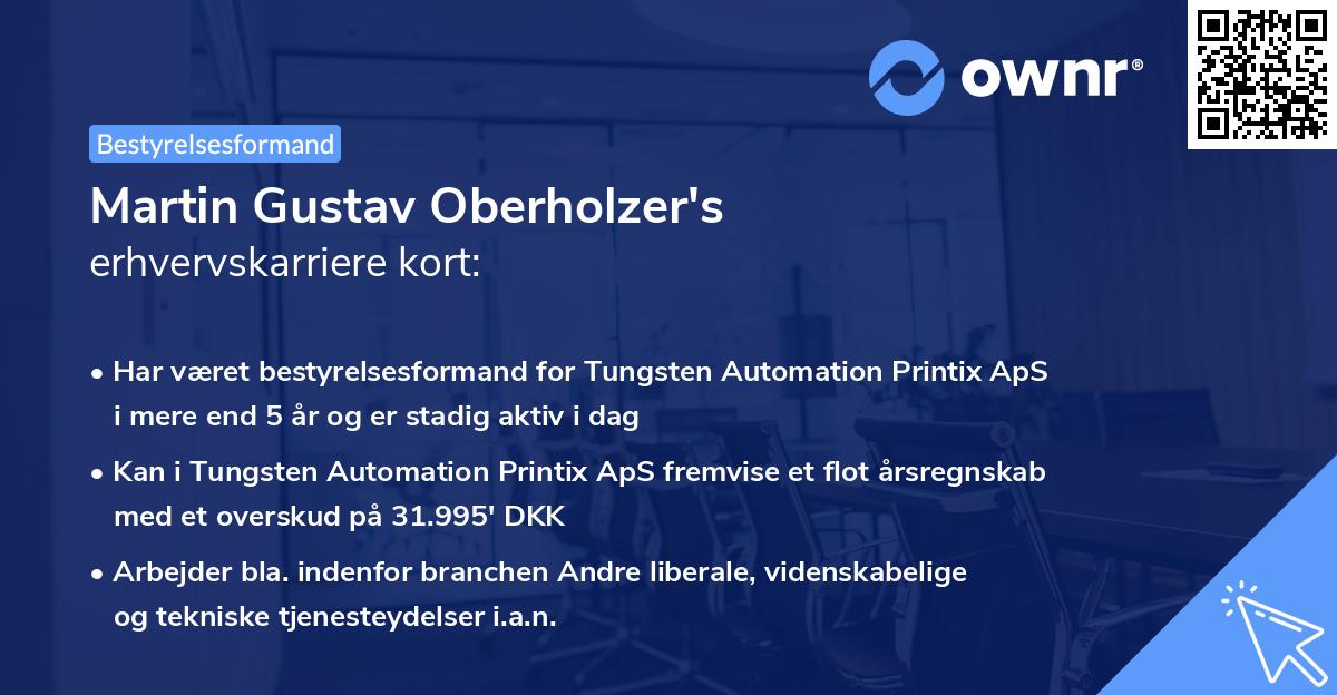 Martin Gustav Oberholzer's erhvervskarriere kort