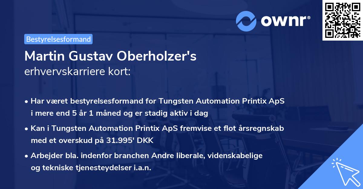 Martin Gustav Oberholzer's erhvervskarriere kort