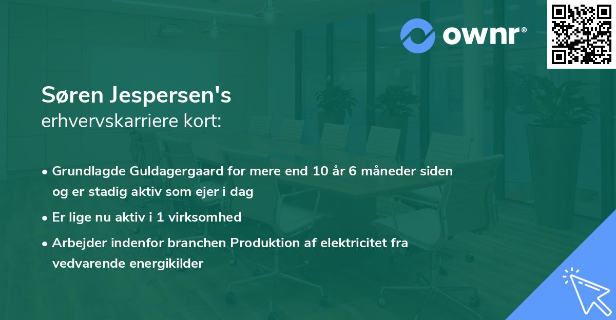 Søren Jespersen's erhvervskarriere kort