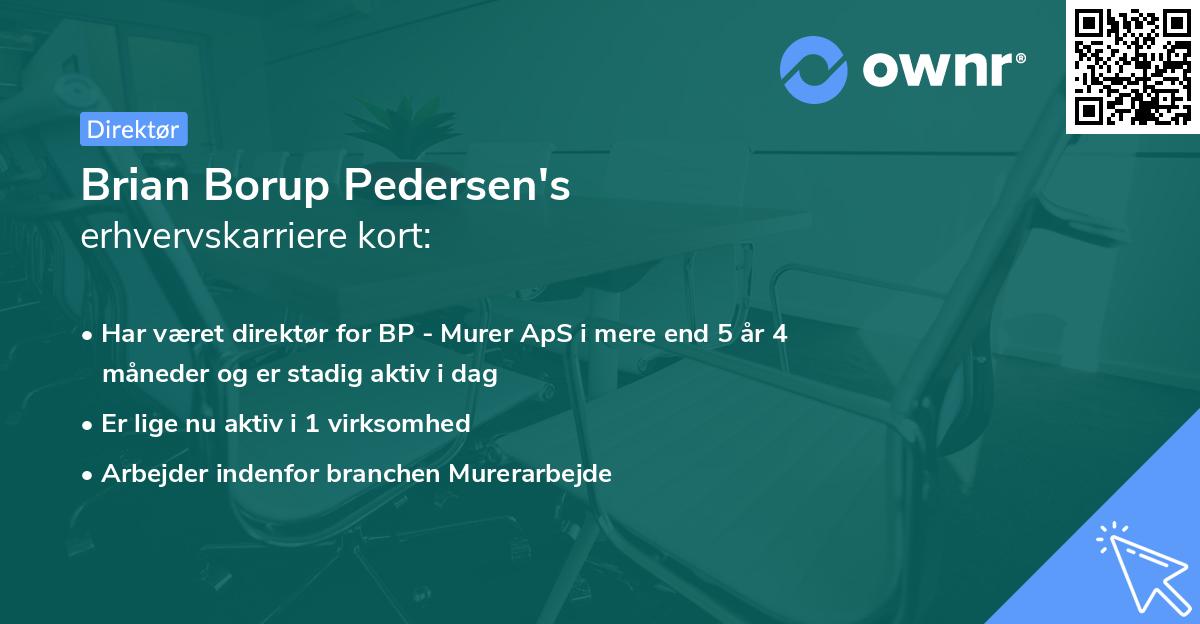 Brian Borup Pedersen's erhvervskarriere kort
