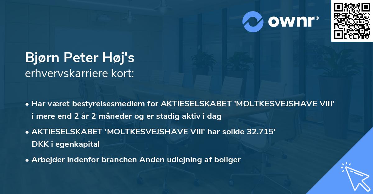 Bjørn Peter Høj's erhvervskarriere kort